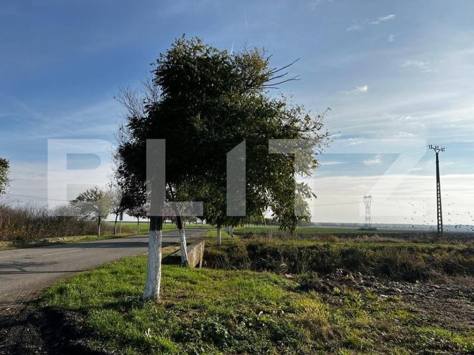 Teren de vânzare Recas - 148893TV | BLITZ Timișoara | Poza15