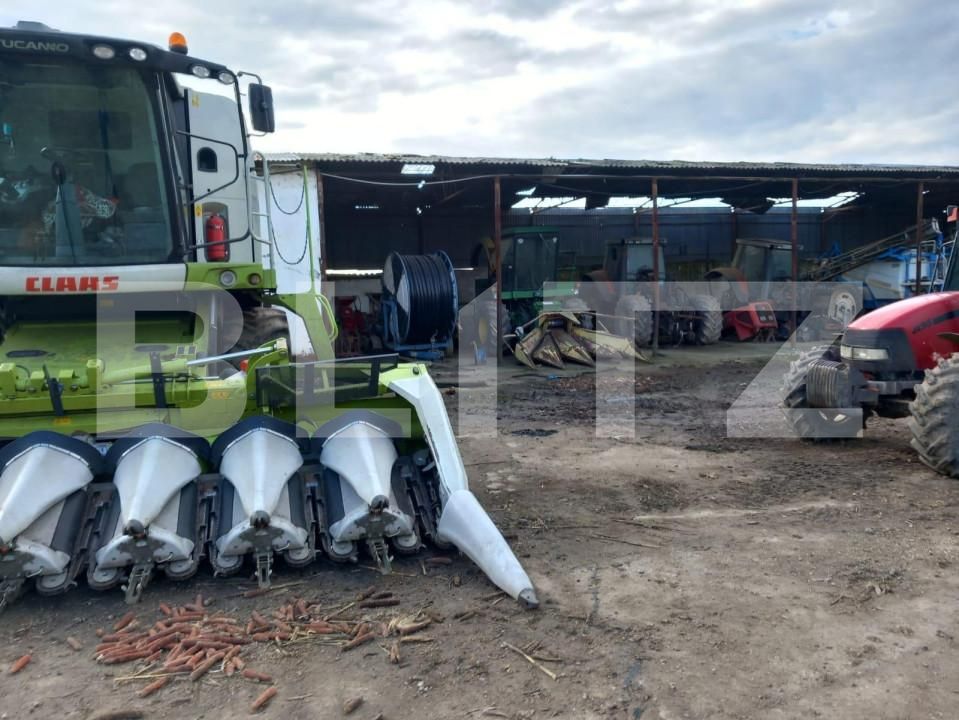 Teren de vânzare Recas - 148893TV | BLITZ Timișoara | Poza3