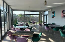 Teren intravilan cu afacere si piscina, 1000mp, Săcălaz