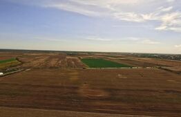 Oportunitate, 68.500 mp teren extravilan, intre Bucovat/Mosnita Veche!