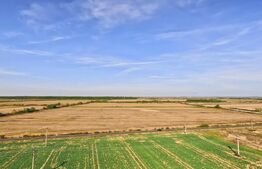 Oportunitate, 68.500 mp teren extravilan, intre Bucovat/Mosnita Veche!