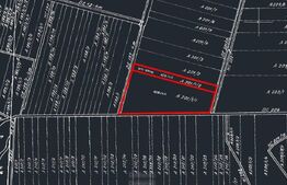 Oportunitate, 68.500 mp teren extravilan, intre Bucovat/Mosnita Veche!