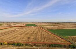 Oportunitate, 68.500 mp teren extravilan, intre Bucovat/Mosnita Veche!