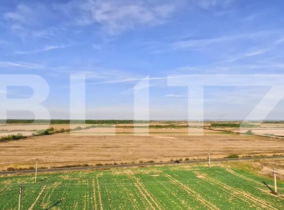 Teren de vânzare Mosnita Veche - 148943TV | BLITZ Timișoara | Poza5