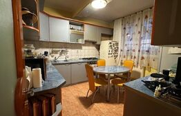 Casa 8 camere, 400 mp utili, Dumbravita