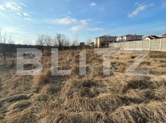 Teren de vânzare Dumbravita - 148971TV | BLITZ Timișoara | Poza3