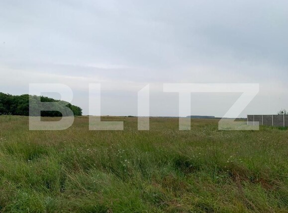 Teren de vânzare Covaci - 148975TV | BLITZ Timișoara | Poza5