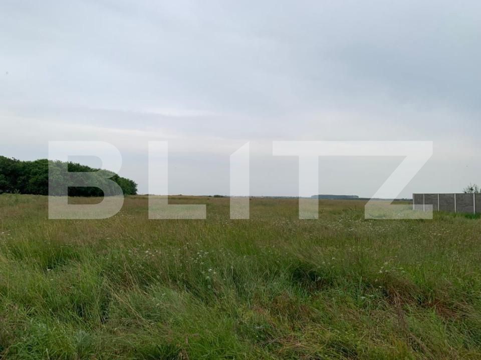 Teren de vânzare Covaci - 148975TV | BLITZ Timișoara | Poza5