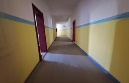 Proprietate de cazare, spatii comerciale, Lugoj