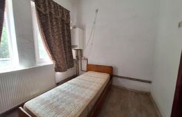 Proprietate de cazare, spatii comerciale, Lugoj