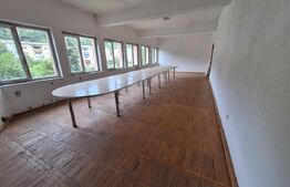 Proprietate de cazare, spatii comerciale, Lugoj