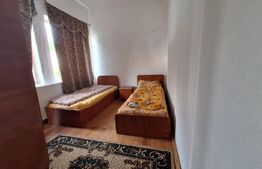 Proprietate de cazare, spatii comerciale, Lugoj