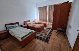 Proprietate de cazare, spatii comerciale, Lugoj