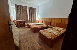 Proprietate de cazare, spatii comerciale, Lugoj