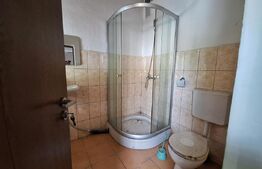 Proprietate de cazare, spatii comerciale, Lugoj