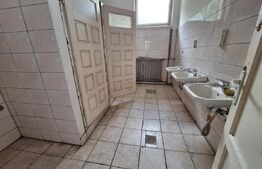 Proprietate de cazare, spatii comerciale, Lugoj