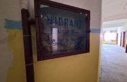 Proprietate de cazare, spatii comerciale, Lugoj