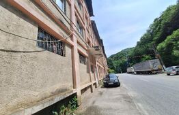 Proprietate de cazare, spatii comerciale, Lugoj