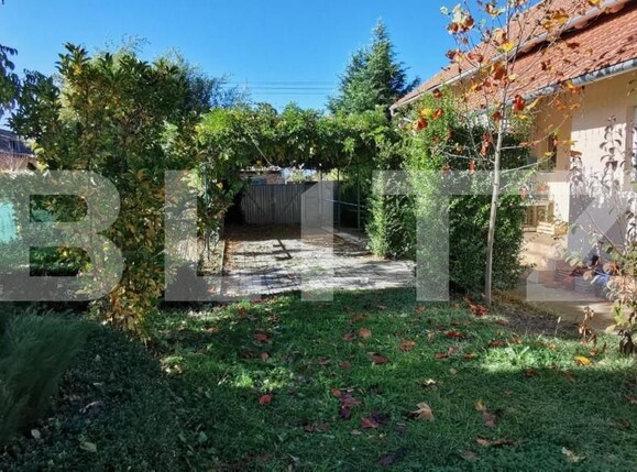 Casa de vânzare 4 camere Exterior Sud - 148990CV | BLITZ Timișoara | Poza11
