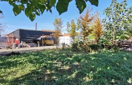 Casa individuala 4 camere, 190mp utili, teren 1428mp, Cheveresul Mare