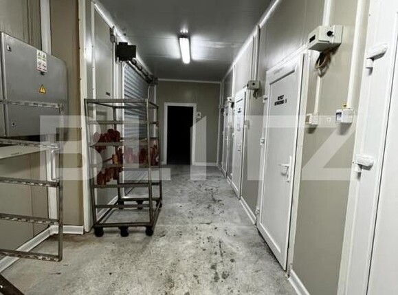 Spațiu industrial de vânzare Exterior Est - 148995SVI | BLITZ Timișoara | Poza5