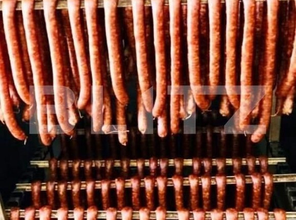 Spațiu industrial de vânzare Exterior Est - 148995SVI | BLITZ Timișoara | Poza16