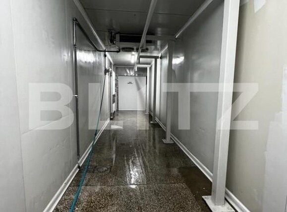 Spațiu industrial de vânzare Exterior Est - 148995SVI | BLITZ Timișoara | Poza3