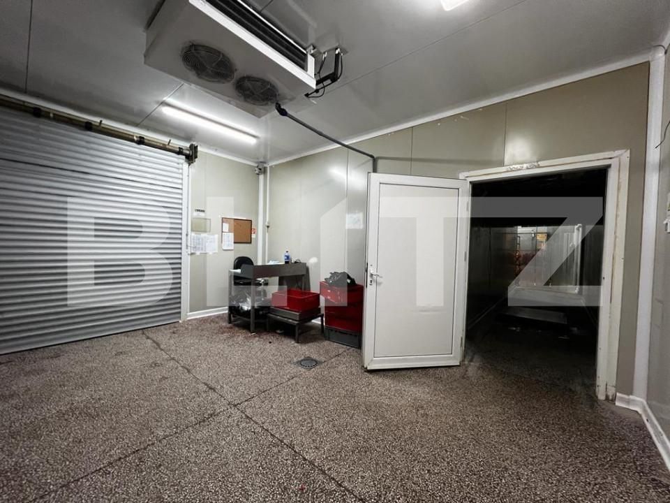 Spațiu industrial de vânzare Exterior Est - 148995SVI | BLITZ Timișoara | Poza14