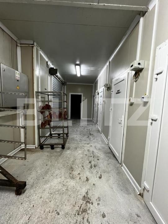 Spațiu industrial de vânzare Exterior Est - 148995SVI | BLITZ Timișoara | Poza5