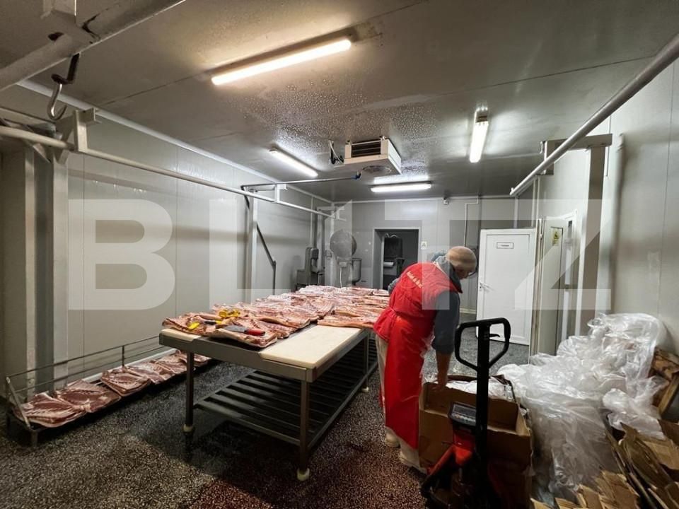 Spațiu industrial de vânzare Exterior Est - 148995SVI | BLITZ Timișoara | Poza13