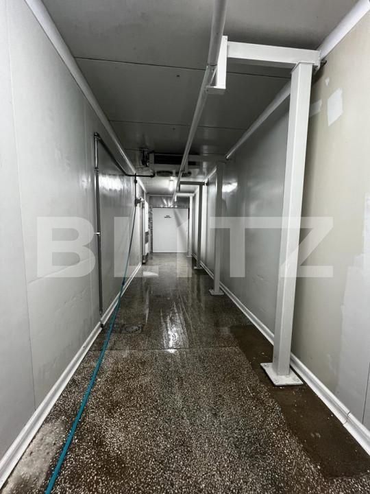 Spațiu industrial de vânzare Exterior Est - 148995SVI | BLITZ Timișoara | Poza3