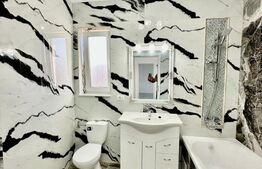 Duplex de lux in stil american, 3 camere, 100 mp, 270 mp teren