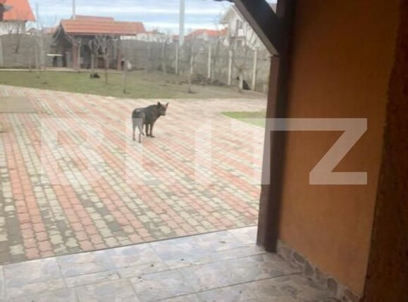 Casa de vânzare 3 camere Sag - 149116CV | BLITZ Timișoara | Poza3