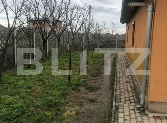 Casa de vânzare 3 camere Sag - 149116CV | BLITZ Timișoara | Poza7