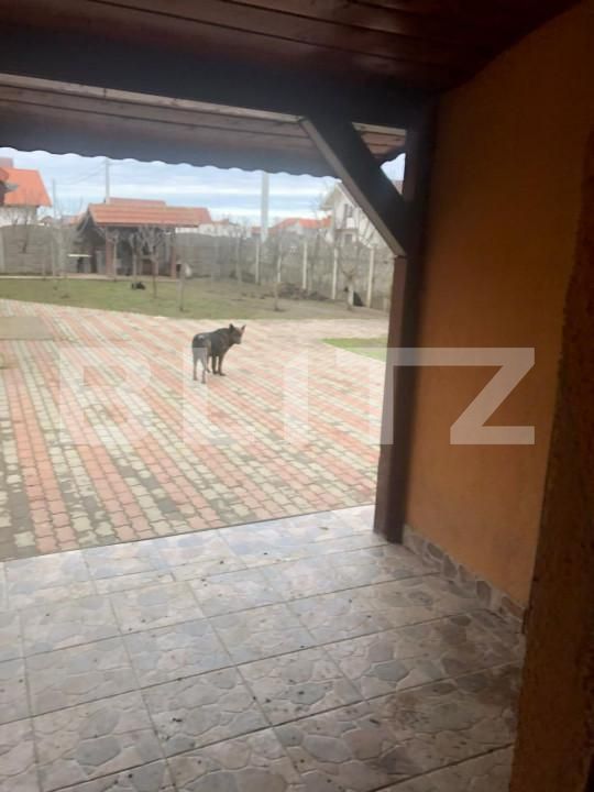 Casa de vânzare 3 camere Sag - 149116CV | BLITZ Timișoara | Poza3