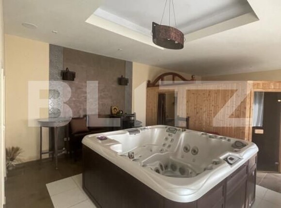 Spațiu comercial de închiriat Complex Studentesc - 149117SIC | BLITZ Timișoara | Poza12