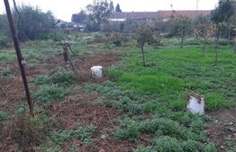 Casa cu teren de 2022 mp, intravilan, in Sacalaz