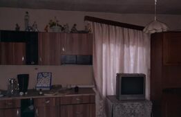 Casa cu teren de 2022 mp, intravilan, in Sacalaz