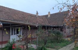 Casa cu teren de 2022 mp, intravilan, in Sacalaz