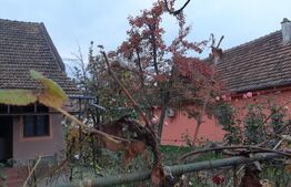 Casa cu teren de 2022 mp, intravilan, in Sacalaz