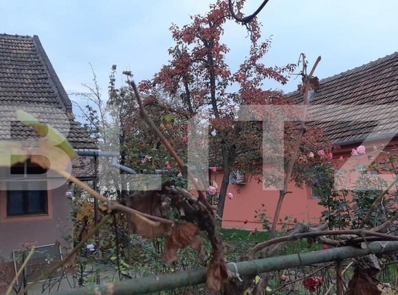 Casa de vânzare 5 camere Sacalaz - 149123CV | BLITZ Timișoara | Poza8