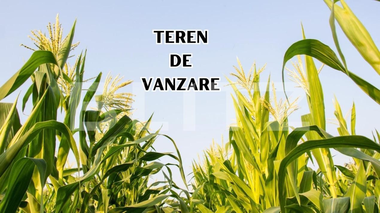 Teren de vânzare Giarmata - 149131TV | BLITZ Timișoara | Poza1