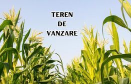 5000 mp teren extravilan in Giarmata 