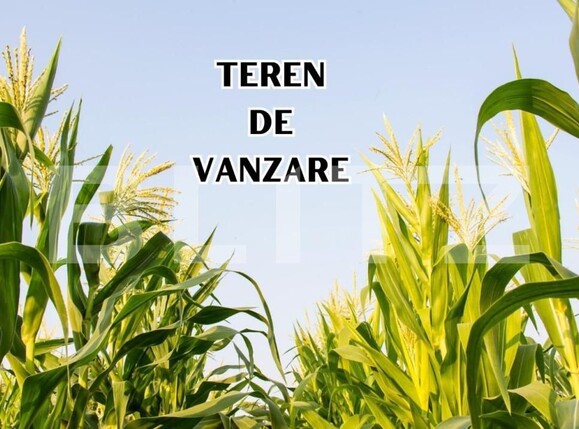 Teren de vânzare Giarmata - 149132TV | BLITZ Timișoara | Poza1