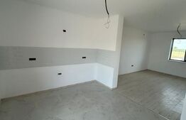 Casa individuala, 4 camere, 102 mp utili, 532 mp teren, Remetea Mare!