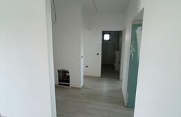 Casa individuala, 4 camere, 102 mp utili, 532 mp teren, Remetea Mare!