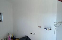 Casa individuala, 4 camere, 102 mp utili, 532 mp teren, Remetea Mare!