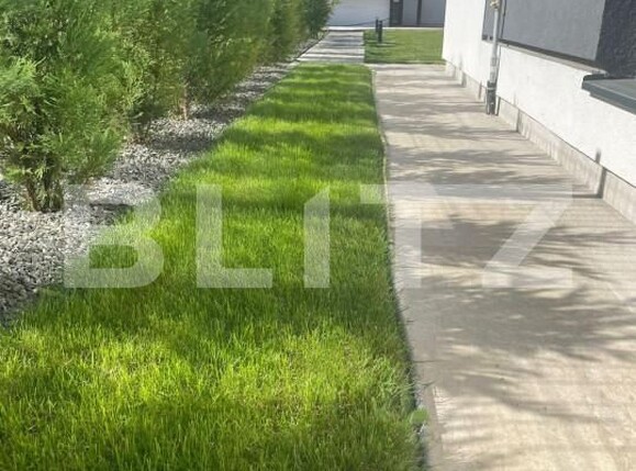 Casa de vânzare 3 camere Covaci - 149167CV | BLITZ Timișoara | Poza3