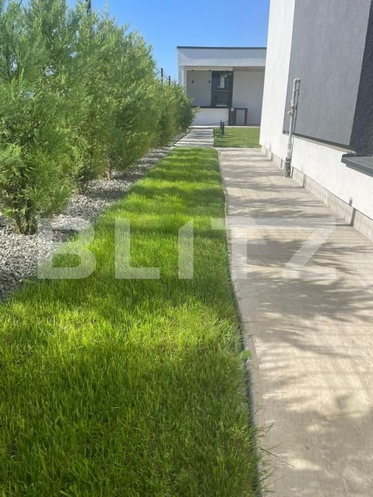 Casa de vânzare 3 camere Covaci - 149167CV | BLITZ Timișoara | Poza3