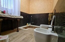 Casa individuala pe parter, 199 mp utili, 837 mp teren, Giarmata